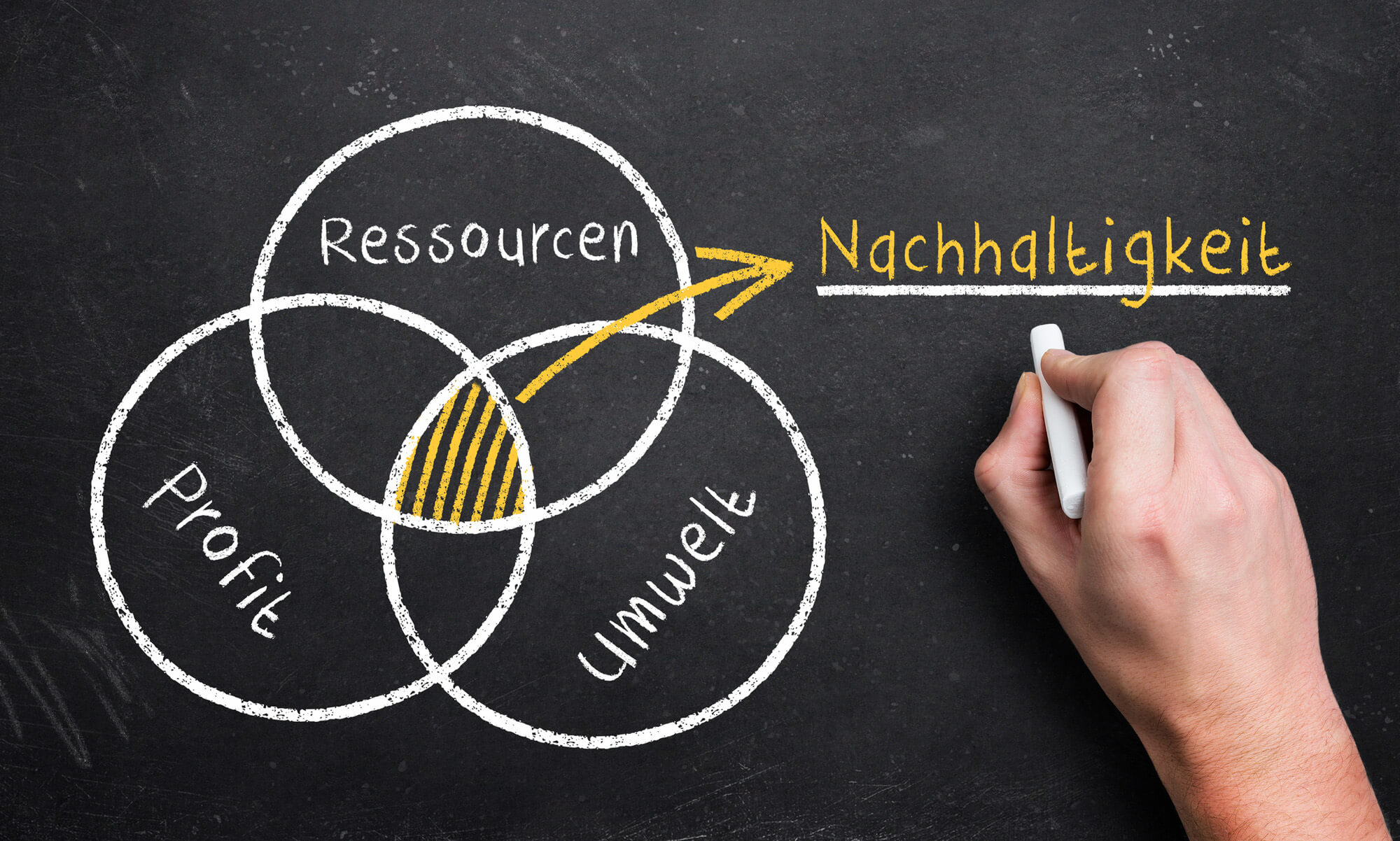 Nachhaltigkeit​